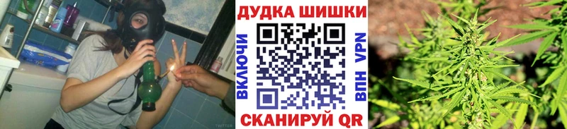 наркошоп  Гвардейск  Канабис MAZAR 